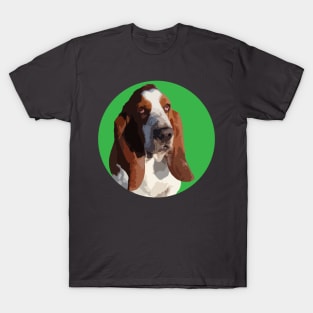 Basset Hound T-Shirt